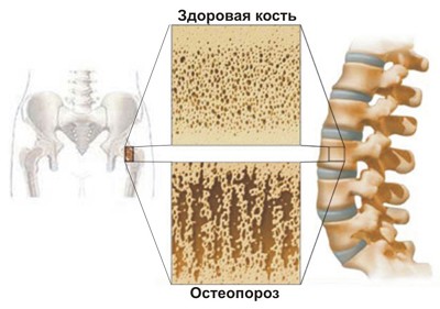 Кальций и питание